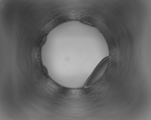 X0000060270233200511241503