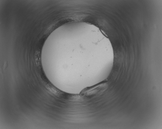 X0000060270237200511241503