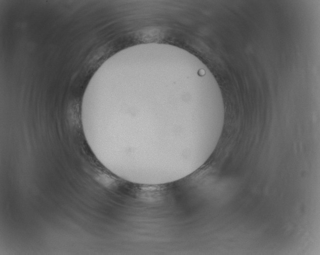 X0000060270240200511241503