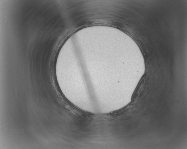 X0000060270241200511241502