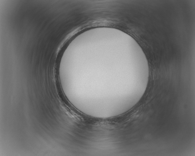 X0000060270244200511241502