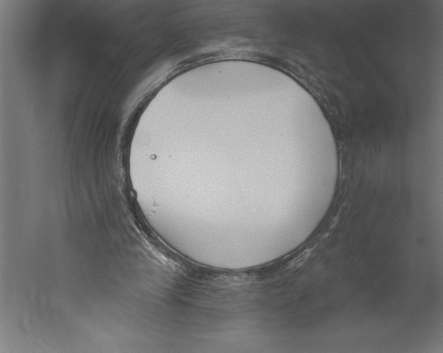 X0000060270245200511241502