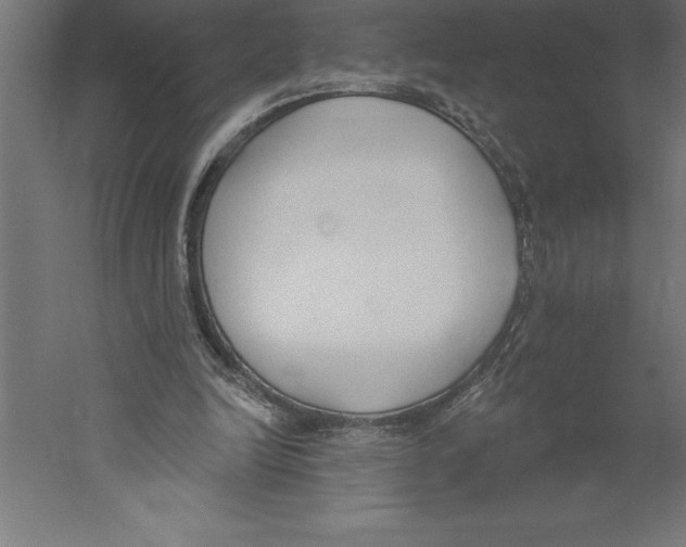 X0000060270246200511241502