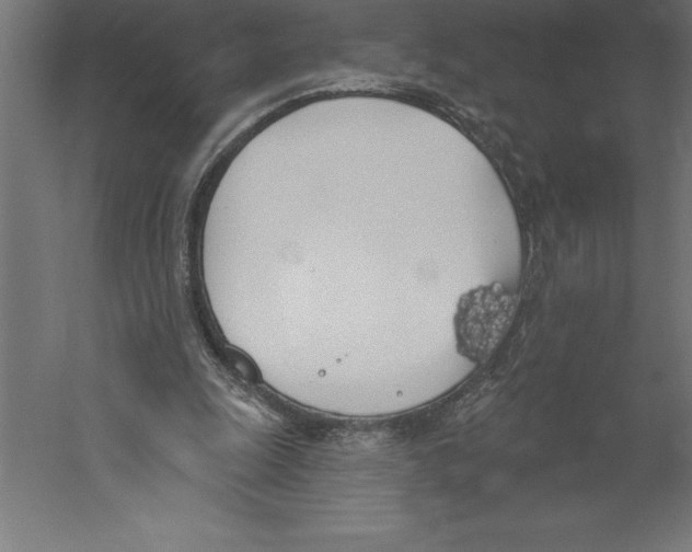 X0000060270247200511241502