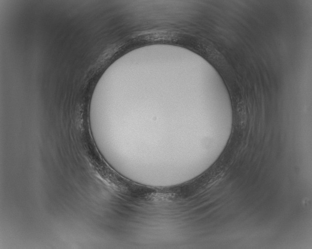 X0000060270255200511241502