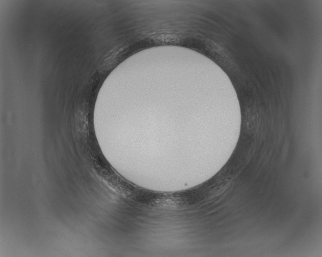 X0000060270259200511241502