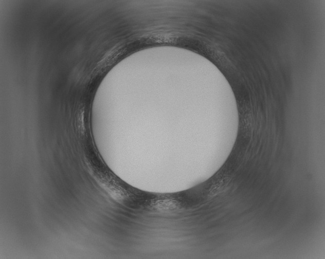 X0000060270262200511241502