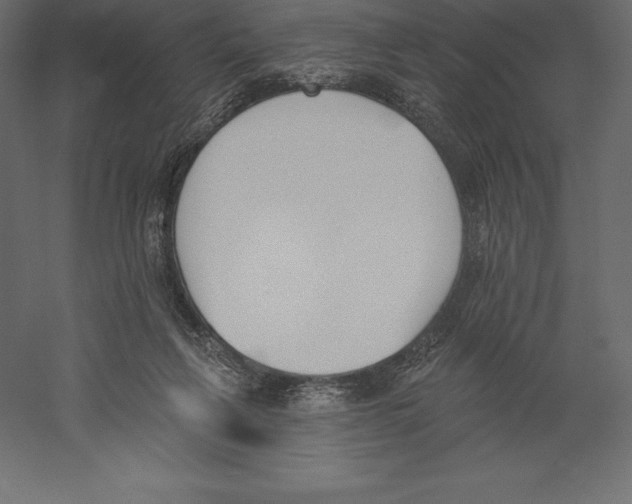 X0000060270263200511241502