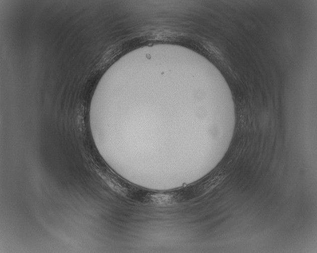 X0000060270265200511241502