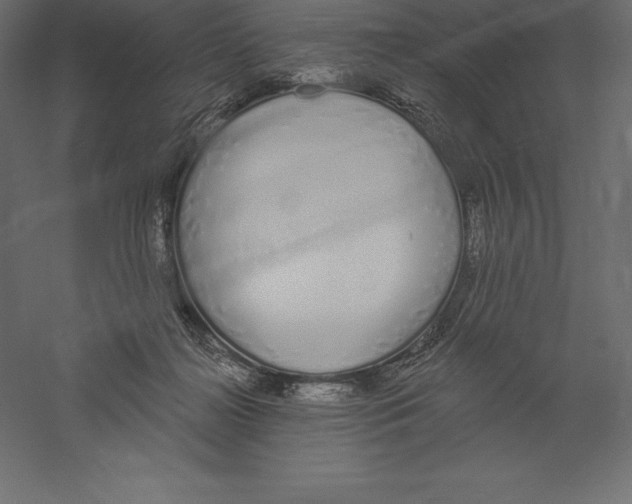 X0000060270268200511241502