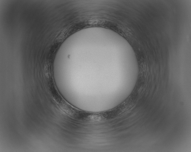 X0000060270272200511241502