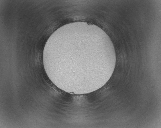 X0000060270281200511241502