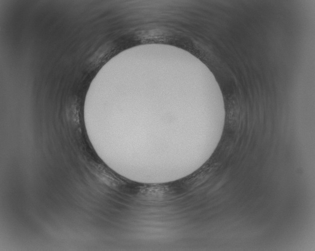 X0000060270282200511241502