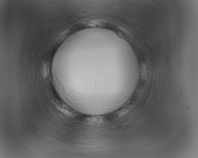 X0000060270284200511241502