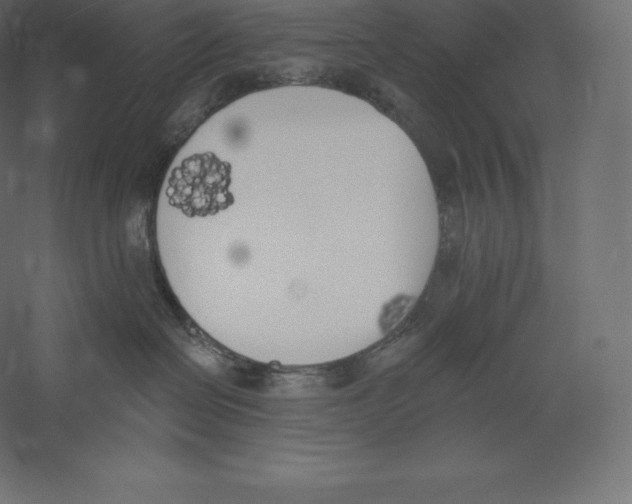 X0000060270286200511241503