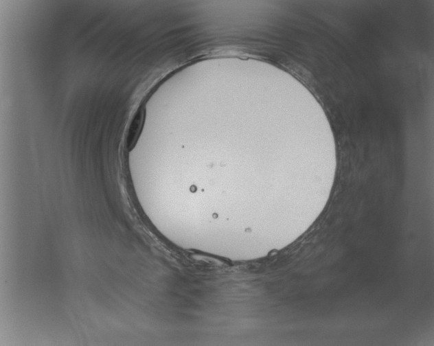 X0000060270289200511241502