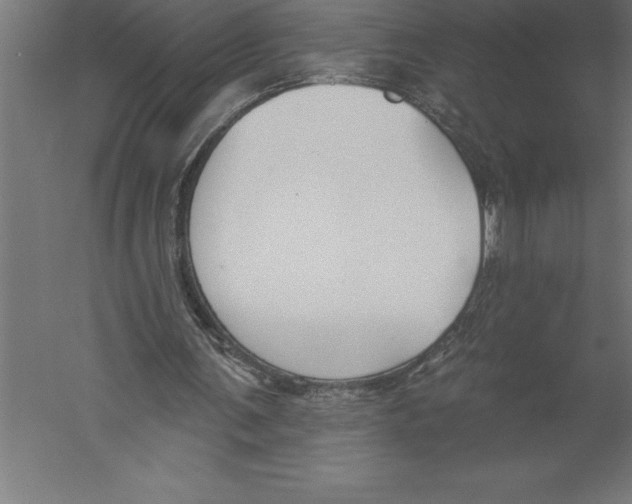 X0000060270291200511241502