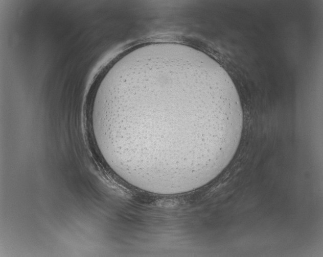 X0000060270294200511241502