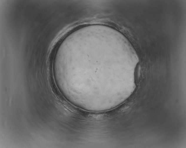 X0000060270295200511241502