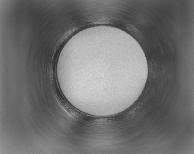 X0000060270298200511241502