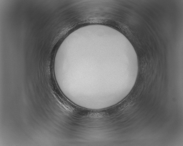 X0000060270299200511241502