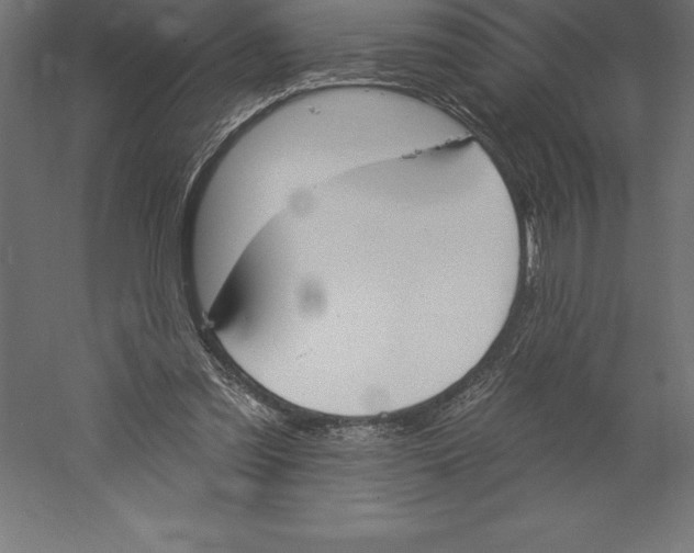 X0000060270301200511241501