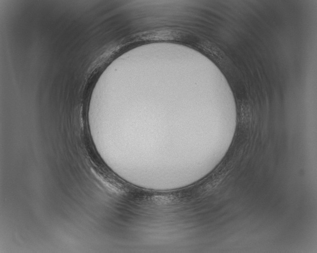 X0000060270302200511241501