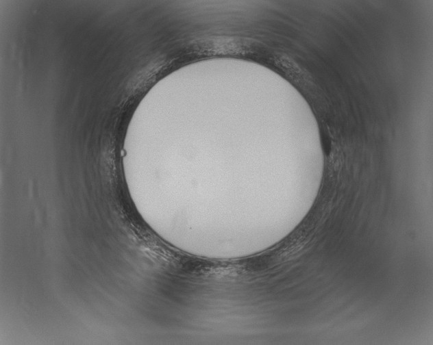 X0000060270306200511241501