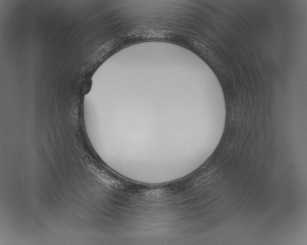 X0000060270309200511241501