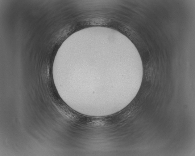 X0000060270310200511241501