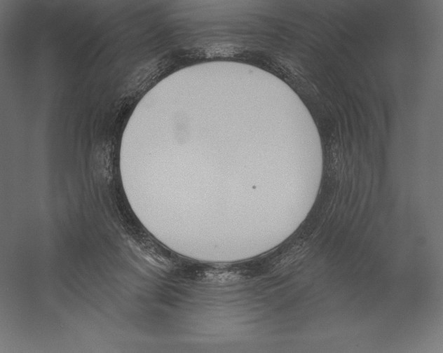 X0000060270311200511241501