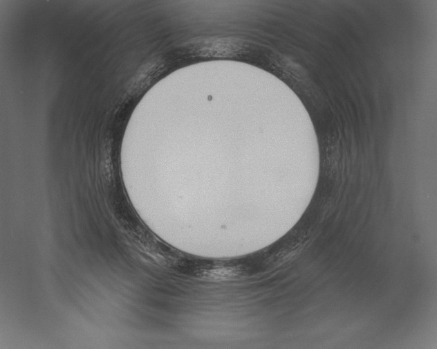 X0000060270312200511241501