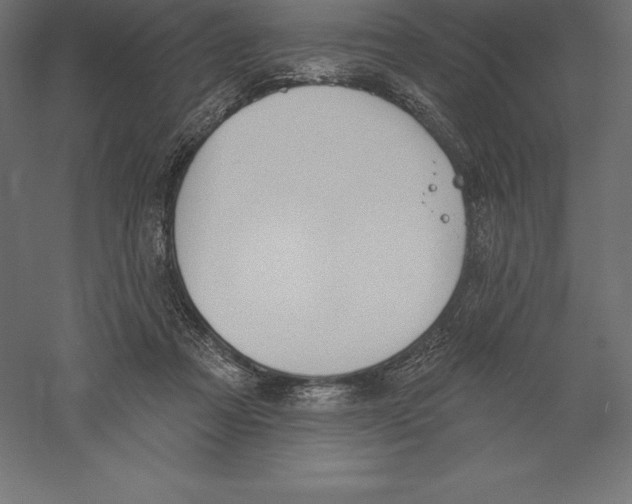 X0000060270313200511241501