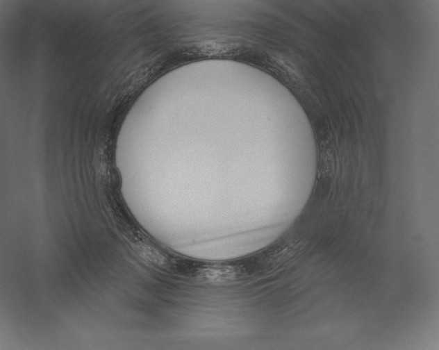 X0000060270317200511241501