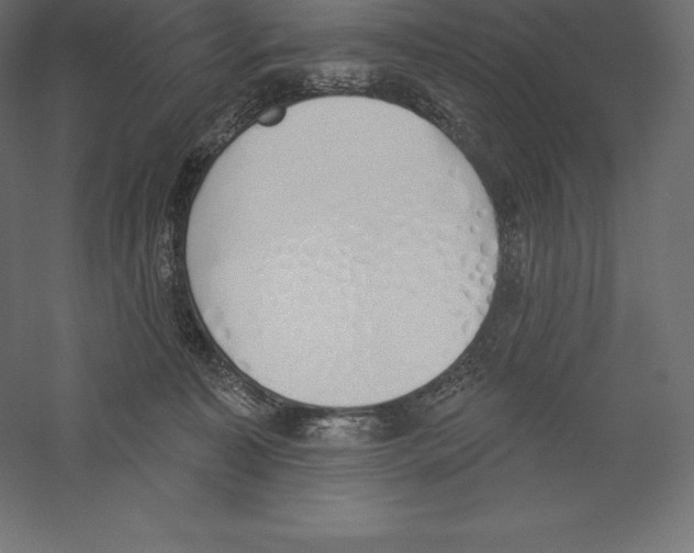 X0000060270323200511241501