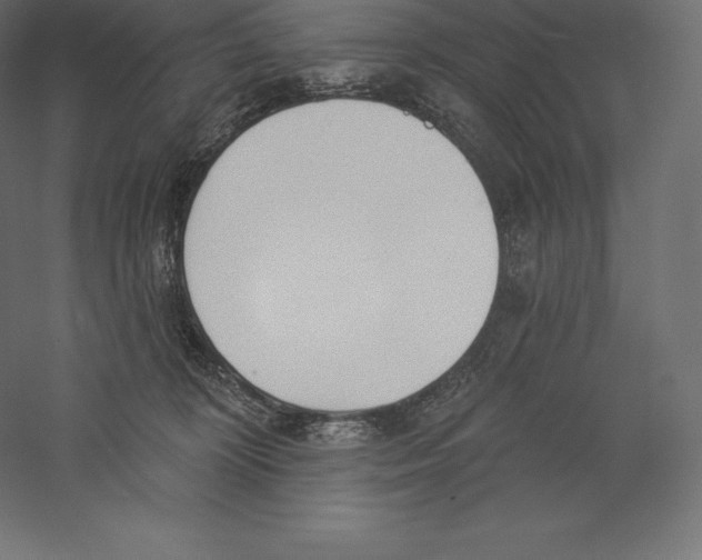 X0000060270324200511241501