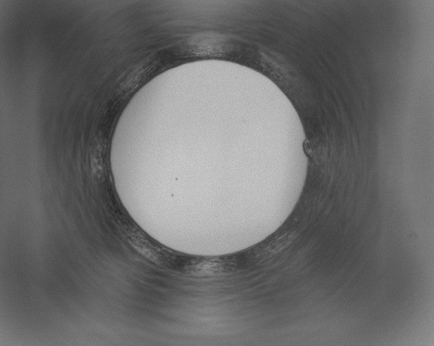 X0000060270325200511241501