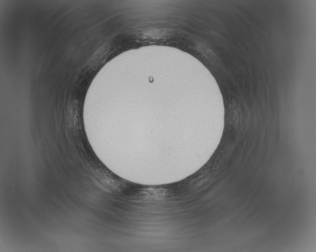 X0000060270328200511241501