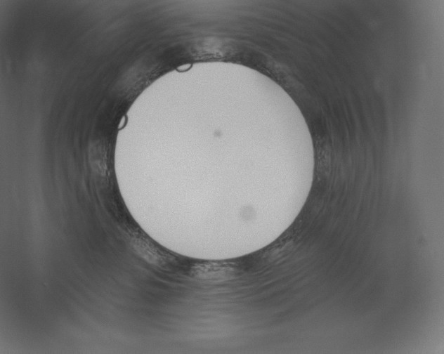 X0000060270331200511241501