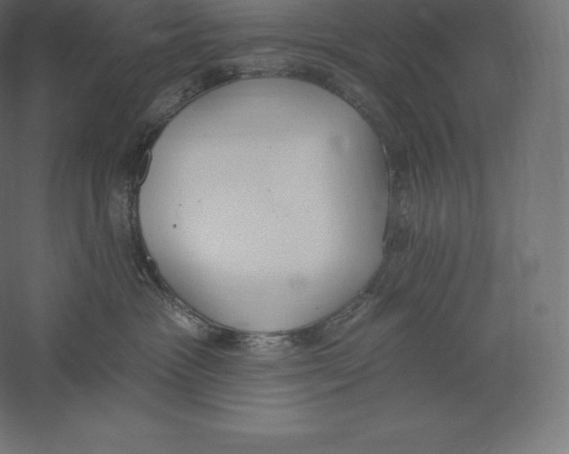 X0000060270333200511241501