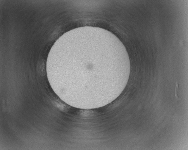 X0000060270336200511241501