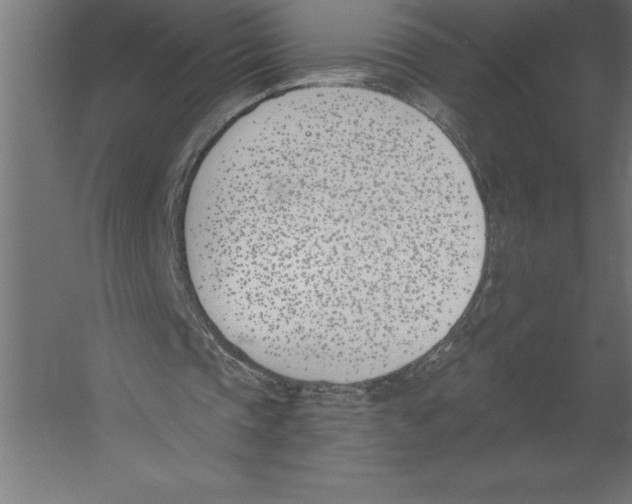 X0000060270337200511241500