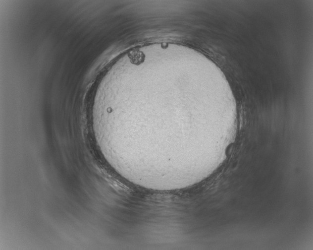 X0000060270339200511241500