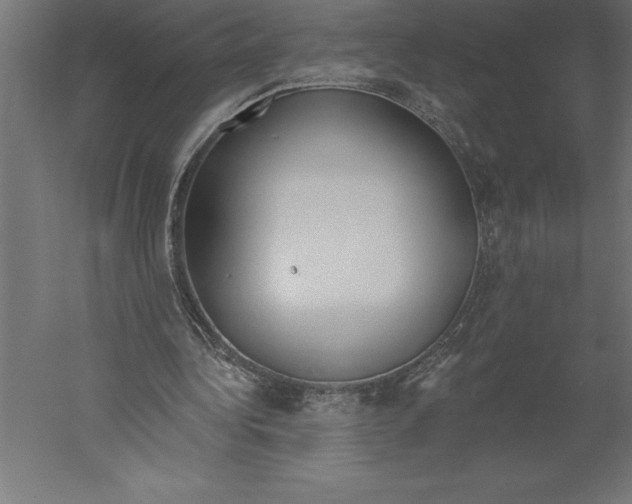 X0000060270340200511241500