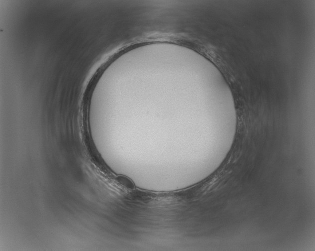 X0000060270342200511241500