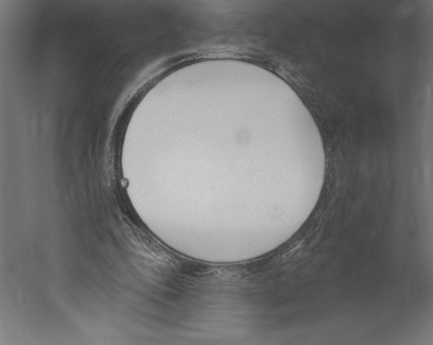 X0000060270343200511241500