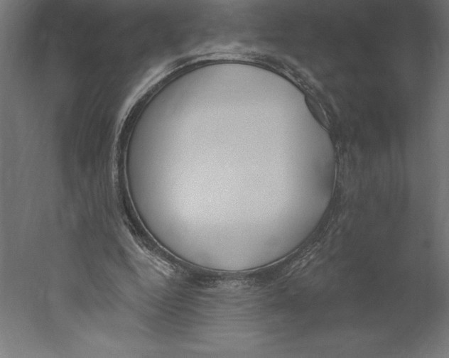 X0000060270344200511241500