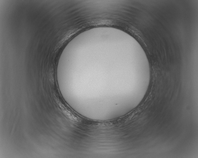 X0000060270345200511241500