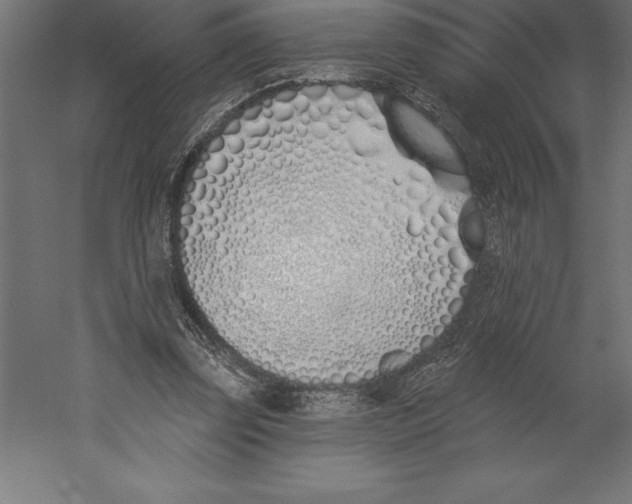 X0000060270347200511241500