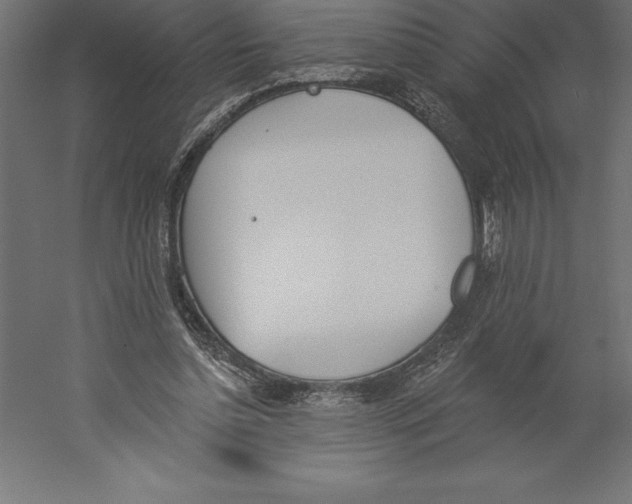 X0000060270348200511241500